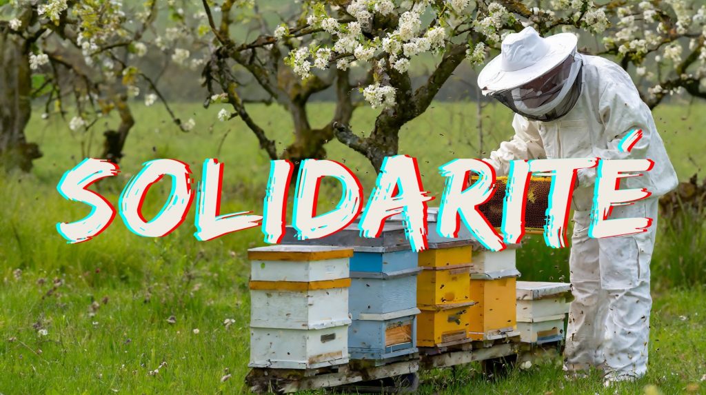 Ensemble comme un essaim d'abeilles : la solidarité chez Elisabeth