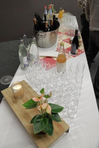 2211ElisabethSchonig21