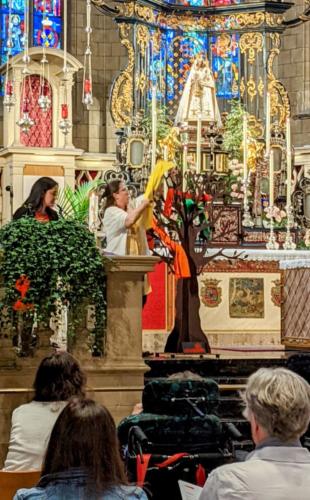 PXL 20220516 121308195.MP2  (1)