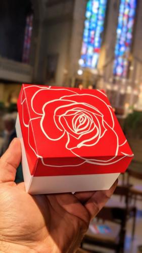 PXL 20220516 134645341.PORTRAIT